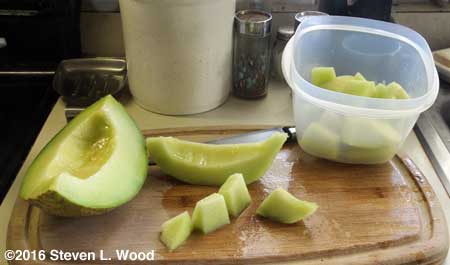 Cut Diplomat honeydew melon