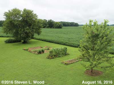 Our Senior Garden - August 16, 2016