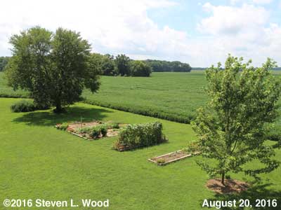 Our Senior Garden - August 20, 2016