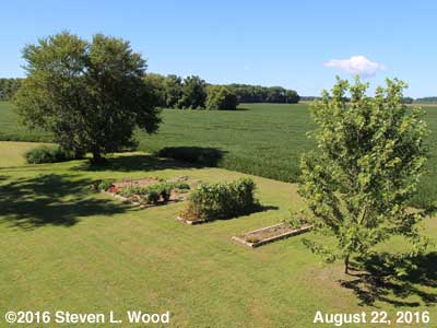 Our Senior Gardening - August 22, 2016