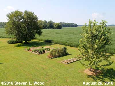 Our Senior Garden - August 26, 2016