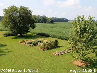 Our Senior Garden - August 28, 2016