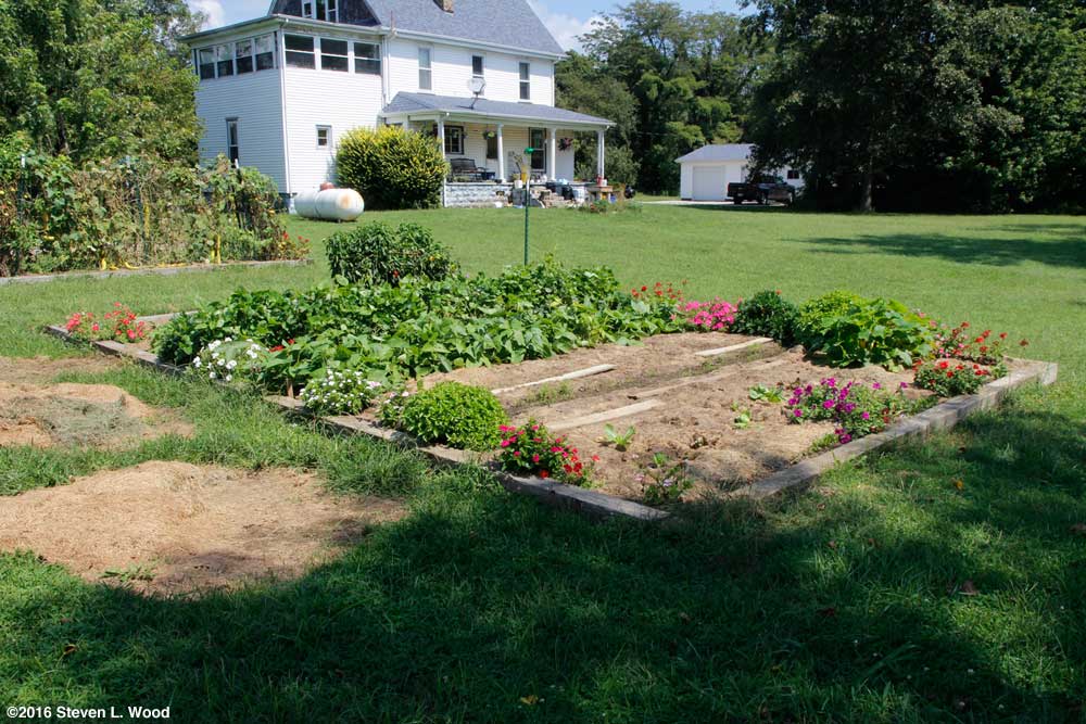 Flowers around main raised garden bed