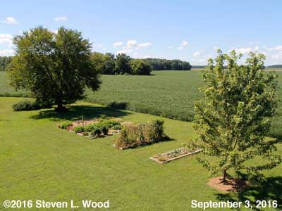 Our Senior Garden - September 3, 2016