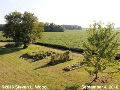 Our Senior Garden - September 4, 2016
