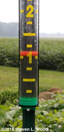 Rain gauge