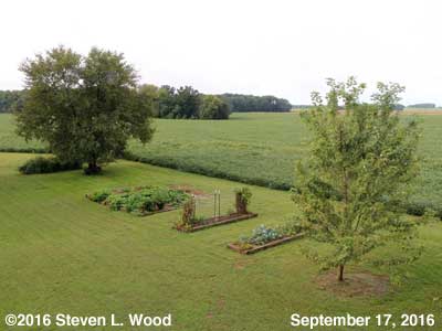 Our Senior Garden - September 17, 2016