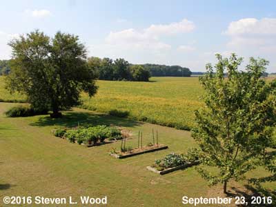 Our Senior Garden - September 23, 2016