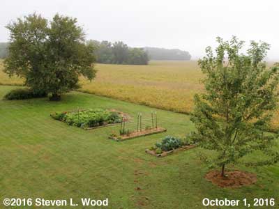 Our Senior Garden - October 1, 2016