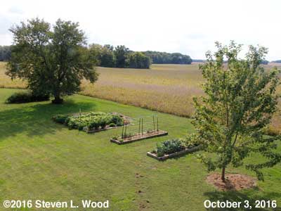 Our Senior Garden - October 3, 2016