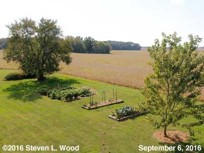 Our Senior Garden - October 6, 2016
