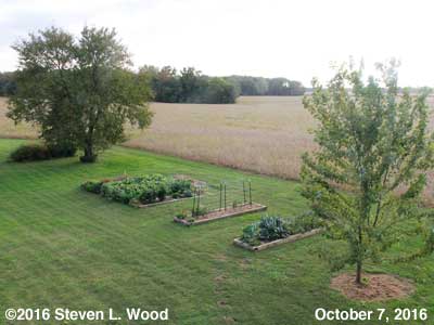 Our Senior Garden - October 7, 2016