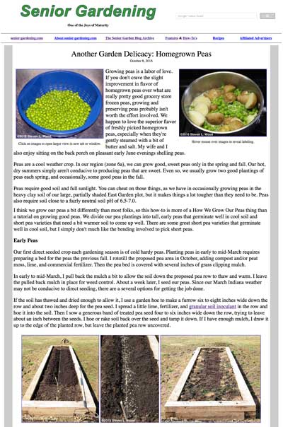 Growing Peas