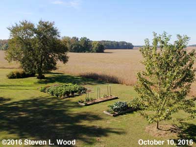 Our Senior Garden - October 10, 2016