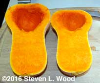 Seed cell cleaned
