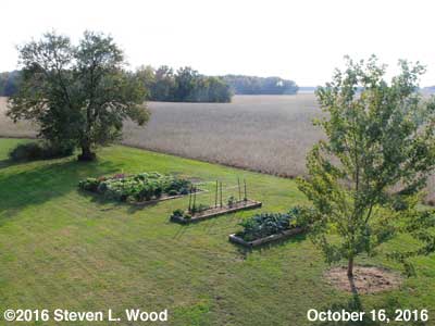 Our Senior Garden - October 16, 2016