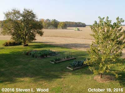 Our Senior Garden - October 18, 2016
