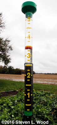 3.5" of rain in 24 hours