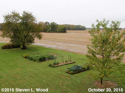 Our Senior Garden - October 20, 2016
