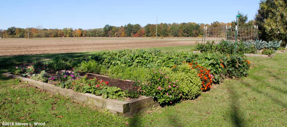 Main raised bed on October 23, 