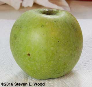 Cleaned Granny Smith apple