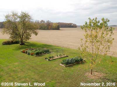 Our Senior Garden - November 2, 2016