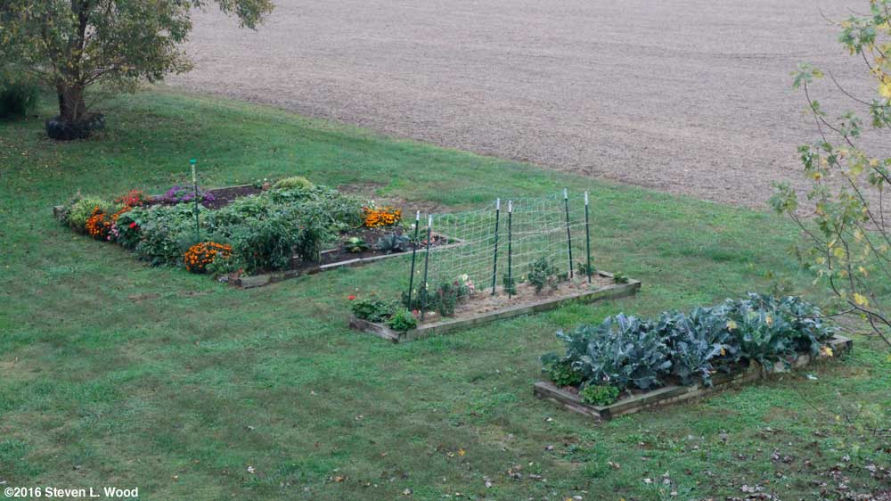 Closer view of raised beds