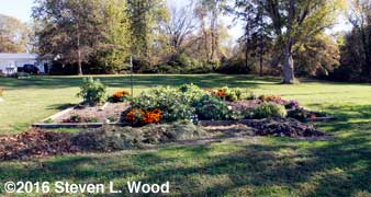 Mulch by main garden bed