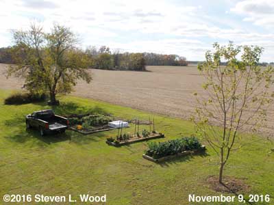 Our Senior Garden - November 9, 2016