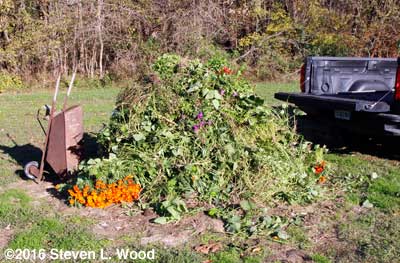 Compost pile