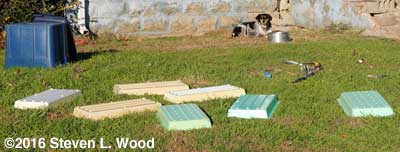 Trays and tools drying
