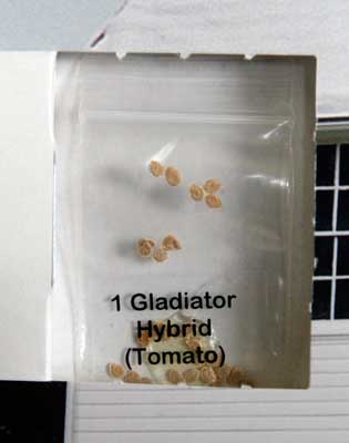 Gladiator Hybrid tomato seed