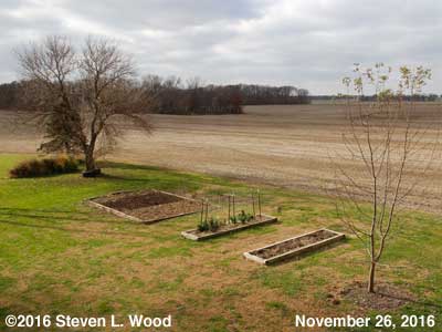 Our Senior Garden - November 26, 2016