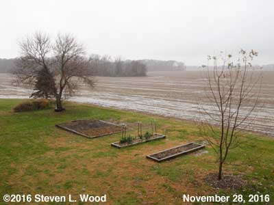 Our Senior Garden - November 28, 2016