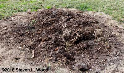 Finished compost pile