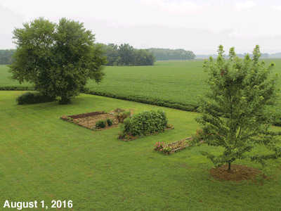 August, 2016, animated GIF