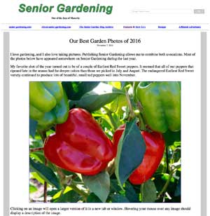 Best Garden Photos of 2016