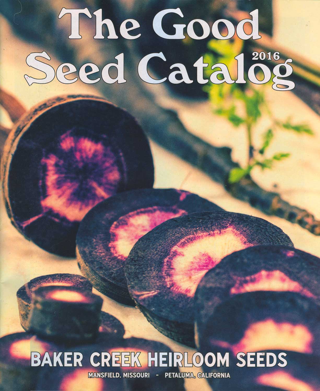 The Old Guy's Garden Blog January, 2016