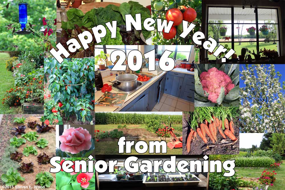 Happy New Year - 2016!