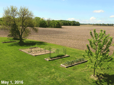 May, 2016, Animated GIF