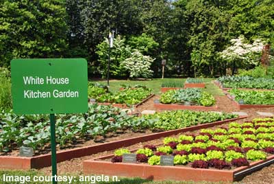 White House Garden