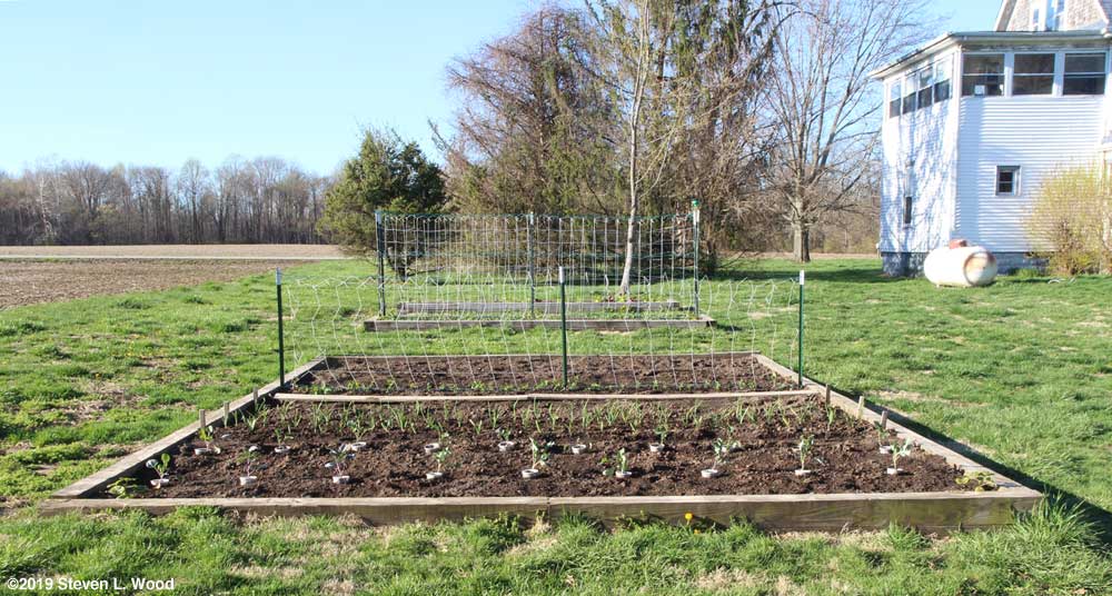 View of area last April