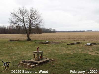 Our Senior Garden - February 1, 2020