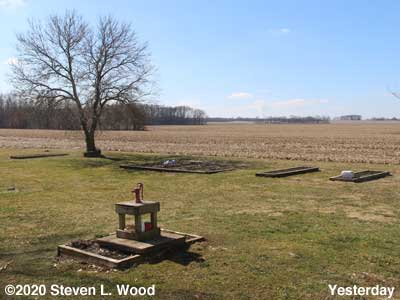 Our Senior Garden - February 14, 2020