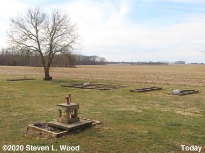 Our Senior Garden - February 15, 2020