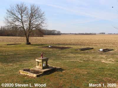 Our Senior Garden - March 1, 2020