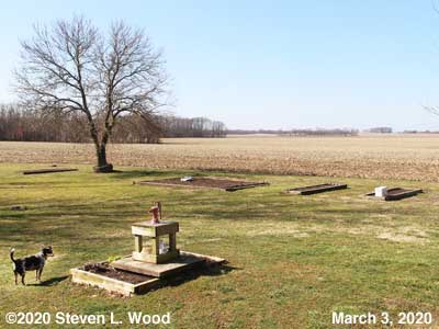 Our Senior Garden - March 3, 2020