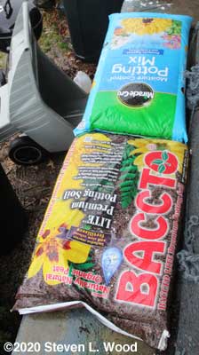 Potting mix