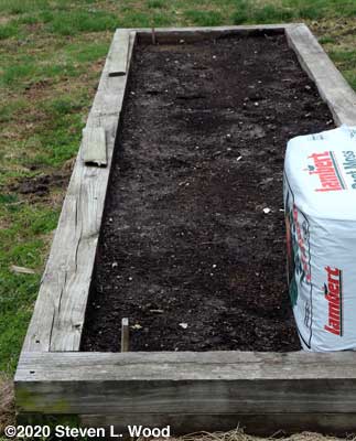 Spinach and tomato bed