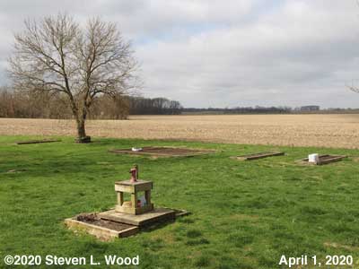 Our Senior Garden - April 1, 2020